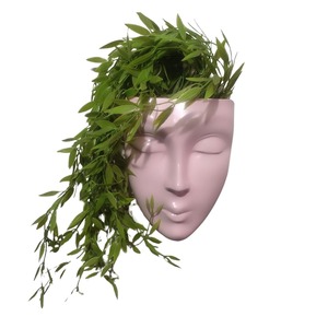 Jardinière murale en métal de style design pour l'arrangement de plantes d'intérieur, style contemporain pour la maison et accent décoratif mural - Product Image 6