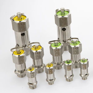 Válvula de Seguridad de Acero Inoxidable con Certificación CE |   Conexión de 1″ |   Presión de 21-65 bar |   316L - Product Image 1