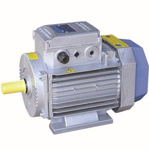 Moteur en fonte d'aluminium AC Moteur asynchrone 240 V 220V-50Hz-60Hz Monophasé 12 mois de garantie Moteur électrique AC - Product Image 1