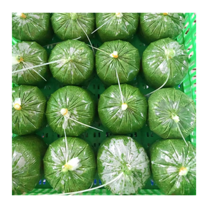 ใบมันสำปะหลังสดแช่แข็งจากข้อมูลทองคำ99ใบมันสำปะหลังสด - Product Image 2