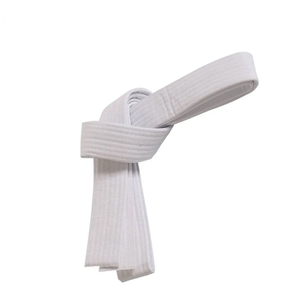 Alta calidad 100% algodón Karate BJJ Judo Taekwondo cinturón colores personalizables MMA Logo estampado diferentes deportes temáticos cinturones de Karate - Product Image 5