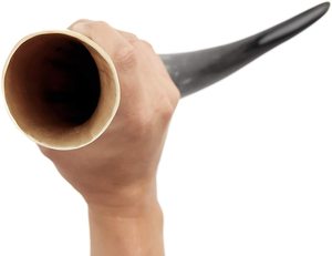 Cuerno para beber vikingo de buey hecho a mano puro para whisky, vino, vaca Real, cuerno para beber, decoración de fiesta de cristal con precio barato - Product Image 1