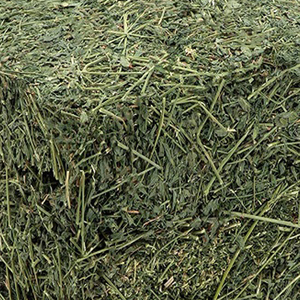 Tendance Vente en gros Nouveau foin de luzerne de meilleure qualité Timothy Hay et foin des Bermudes à vendre - Product Image 6