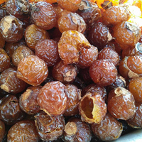 Noix de savon en gros, Sapindus, prix le plus bas du Vietnam