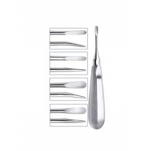 Elevadores de raíces de acero inoxidable Instrumentos quirúrgicos y dentales Precio al por mayor Instrumentos quirúrgicos dentales - Product Image 3