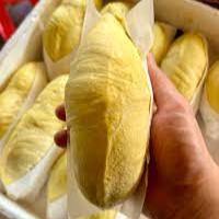 Durian Tailandés Orgánico de Primera Calidad, Fresco, Sin Semillas, Maduro, Rico en Crema, Grado Khey Taladthai, 13.5cm - Product Image 5