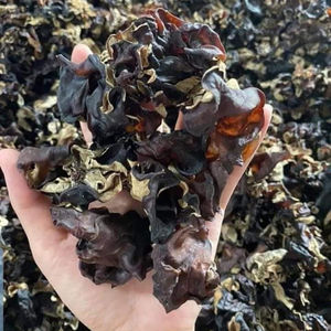 Champignon en bois séché-champignon de haute qualité au VIETNAM // JENNIBUI + 84797005377 - Product Image 1