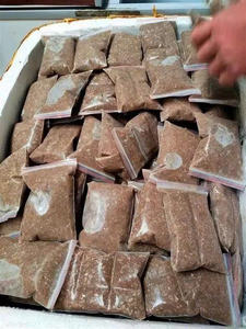 CANGREJO DE CAMPO AL POR MAYOR/SUMINISTRO A GRANEL PREMIUM/PRODUCTO DE MARISCOS NATURALES/OFERTA CALIENTE TOP VENTAS - Product Image 6