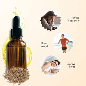 Huile Essentielle de Graines de Foin Fraisé 100% Pure et Biologique en Gros, Certifiée GMP, Origine Inde, Qualité Aromathérapie, Ingrédient Arbre à Thé Premium - Product Image 2