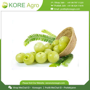 Amla-polvo indio de goosebberry, la mejor calidad, listo para exportarse, cantidad a granel - Product Image 4