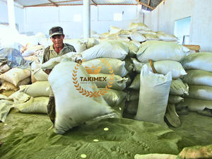 Meilleure qualité vert ulva lactuca laitue de mer algues vertes poudre d'algues vertes Ulva algues du Vietnam pour l'alimentation animale - Product Image 5