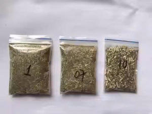 High Quality Premium Organic Natural Catnip Loose Leaf (Dried Crushed Catnip Herbs) Long-acting Digestive Health From VIETNAM - Product Image 4