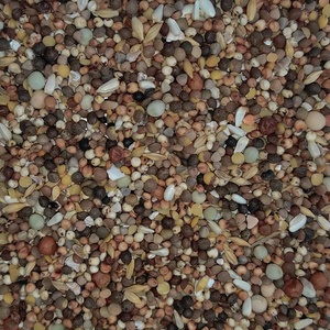 Calidad Premium ESPECIAL N.1 Mezcla 20KG Racing Pigeon Pet Food Ingredientes nutritivos para un rendimiento óptimo - Product Image 2