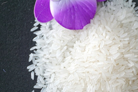 Riz Jasmin Aromatique Long Grain en Gros - Super Riz Jasmin de Toan Phat, Pureté 5% Brisures
