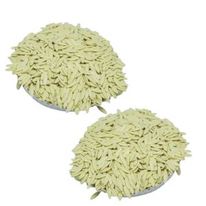 Nouveau produit de haute qualité BCA Value 100% Graines de melon F1 Qualité supérieure Durée de conservation de 6 mois Meilleure collection de produits d'Indonésie - Product Image 2