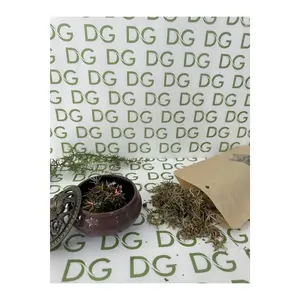 Encens d'aromathérapie au genévrier avec diffuseur Porte-encens et encens de qualité supérieure - Product Image 4