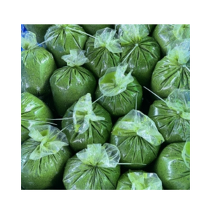 High Quality Frozen <b>Cassava</b> Leaves: Cheap Price, 100% <b>Fresh</b> for Food Industry, Directly From 99 Gold Data in Vietnam. - Product Image 5