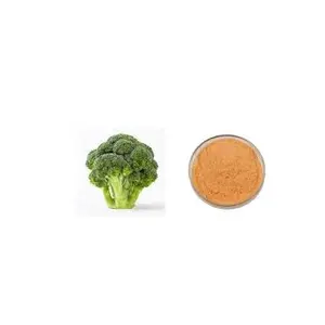 Ekstrak sulforafhane 10% Ekstrak kecambah ekstrak brokoli Sulforaphane murni ekstrak brokoli alami