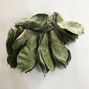 Hoja de Graviola seca, la mejor calidad, el precio más barato, Hojas de Guanábana seca a granel para hacer té saludable - Product Image 2