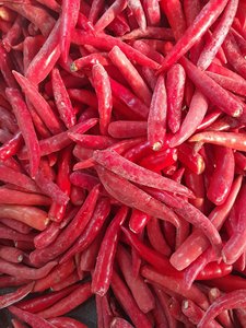 Mejor Precio Calidad Premium Chiles congelados de Vietnam exportación a granel - Product Image 2