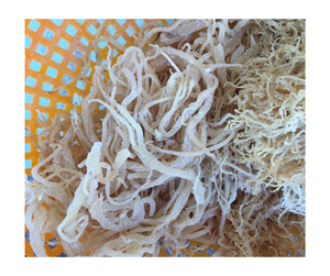 Mousse de coton séchée Organique Naturelle Pure Vegan Superfood en vrac Vente en gros sans OGM Sans gluten Wildcrafted Vietnam Premium Expor - Product Image 4