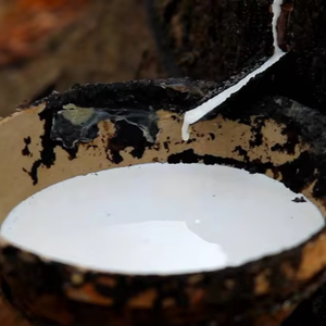 Latex de caoutchouc naturel de qualité supérieure HA Latex liquide 60% DRC Matière première de qualité supérieure pour le moulage Conditionnée en fûts - Product Image 1