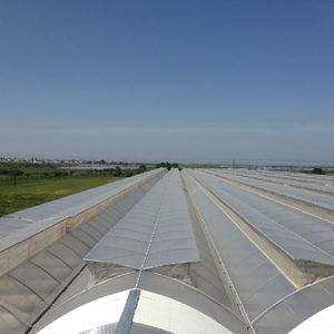 Serre tunnel agricole en acier galvanisé avec film plastique écologique pour la culture de tomates, laitues et poivrons - Product Image 3