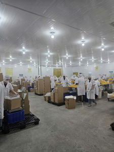 Vente en gros de snack à la mangue séchée saveur tropicale sucrée du Vietnam, idéal pour l'exportation et l'emballage de cadeaux - Product Image 4