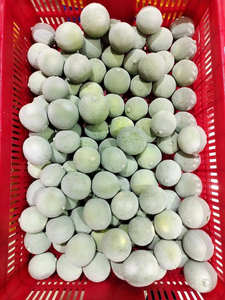 Segmentos de cal congelada IQF a granel de Vietnam // Proveedor de calidad de exportación Premium - Product Image 5