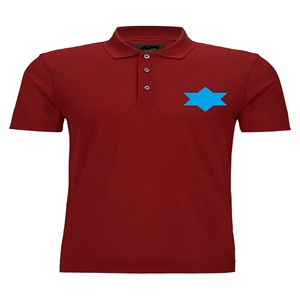 Polo para hombre de alta calidad, diseño de logotipo personalizado, verano, 210gsm, ropa de calle transpirable, Polo impreso personalizado, sublimación Oem - Product Image 1