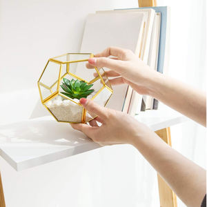 Premium Quality Design Brass Border Black Coated Clear Glass <b>Geometric</b> <b>Terrarium</b> Custom Size Tabletop Decoration Home Office - Product Image 6