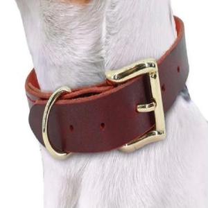 Collier de chien en cuir marron extra épais double couche de 2 pouces de large dans toutes les tailles personnalisées et matériel en acier inoxydable plaqué or de qualité supérieure - Product Image 4