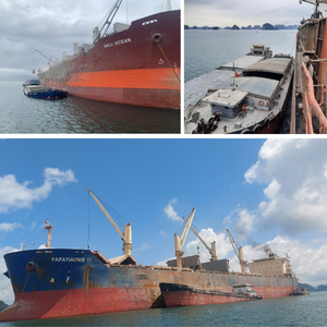 Cendres volantes de charbon d'usine du Vietnam Type F de haute qualité pour la production de ciment Pozzoland - Product Image 3