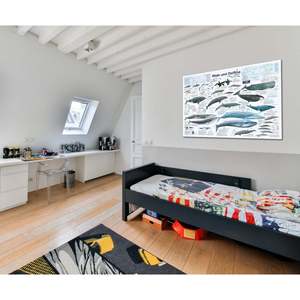 Póster moderno DIN A1 de ballenas y delfines en alemán, hecho de papel para uso en pared - Product Image 2