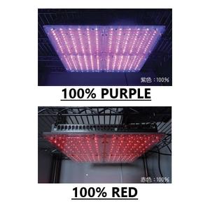 LED Laboratorio Led Crecimiento de plantas Luz Multi Spex 5 colores Unidad de iluminación Analizador de espectro Crecimiento de plantas Led Púrpura Rojo lejano - Product Image 3