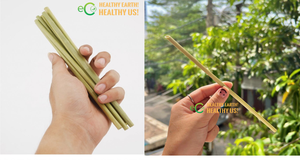Pajitas ecológicas de hierba a precio económico de Eco2go Vietnam - Pajitas vegetales 100% naturales y biodegradables - Product Image 5