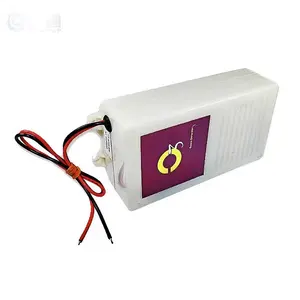 TCB-115 300mg/h Fruit Vegetable Mini Ozone Generator for Water Treatment Portable SPA Generator Ozone Electric Ce ABS 280g