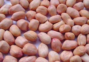 Frutos de cacahuete secos al por mayor para mercados globales con un énfasis en precios asequibles - Product Image 5