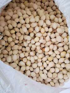 ซื้อถั่วแปะก๊วยคุณภาพดี - Product Image 6