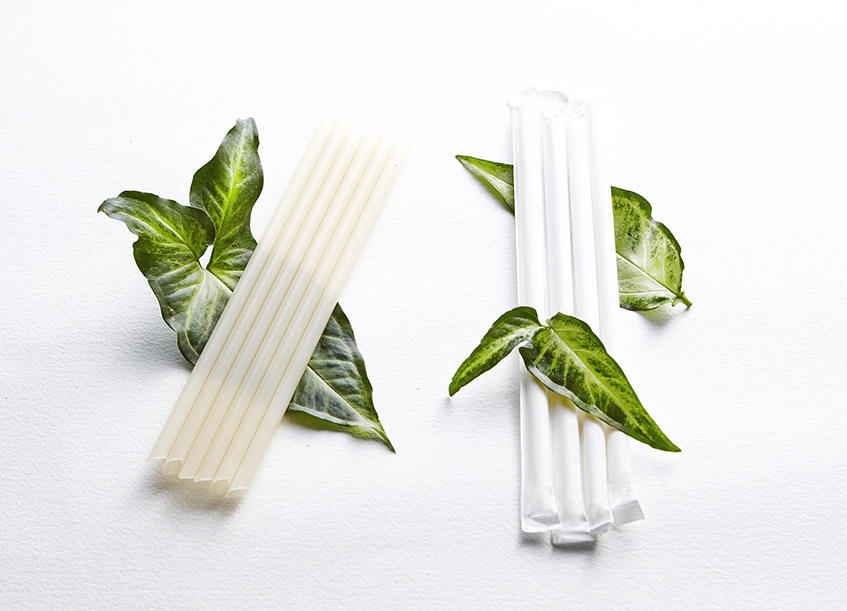 08x21 Natural Wheat Straw