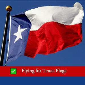 Bandera de Texas USA TOP FLAGSINC, 5x8, para Exteriores, Resistente, de Nailon Oxford, Fabricada en EE. UU., con Franjas Bordadas y Cabezal de Lona - Product Image 6