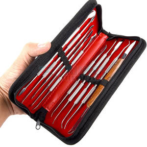 Kit de Limpieza Dental al por Mayor, Kit de Limpieza Dental de Uso Manual, Instrumentos de Acero Inoxidable, Kit de Limpieza Dental - Product Image 3