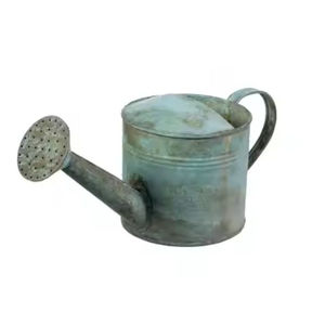 Regadera Vintage para decoración de jardín y hogar, maceta para interior y exterior, último diseño, lata de agua de tamaño personalizado al precio más bajo - Product Image 1