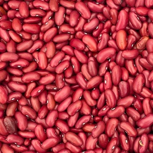 Proveedor de Frijoles Rojos Orgánicos de Alta Calidad, Frijoles Secos de Turquía con 2 Años de Vida Útil para Compradores Globales - Product Image 5