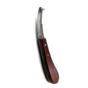 Juego de herramientas de corte de cuchillo de pezuña de herrador de acero inoxidable con certificación OEM CE ISO, equipo veterinario para aparatos de Anatomía de pezuña de caballo - Product Image 5