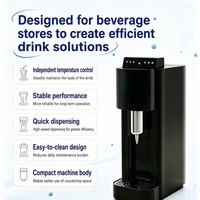 Distributeur de boissons à l'azote commercial MWlab SUPERNITRO, mousse dense à une touche, pour comptoir, pour café nitro, thé, thé pétillant