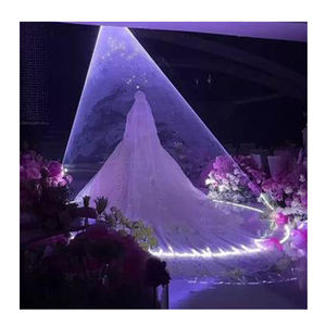 Luz láser de 5W controlada por aplicación, decoraciones de boda con estilo para la primera ceremonia de baile de la nueva pareja, luces de escenario para fiesta de novia - Product Image 1