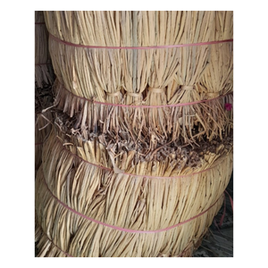 Materia prima Jacinto de agua seca/Paquete de jacinto de agua Amortiguación Jacinto de agua seca - Product Image 1