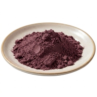 Poudre de prune noire lyophilisée instantanée, saveur fruitée naturelle, riche en antioxydants, pour la pâtisserie, les boissons, les smoothies, les desserts