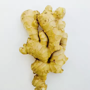 ขิงสดพืชใหม่สำหรับขายรากขิงขิงคุณภาพสูงจากสารสกัดขิงรสเผ็ดและมีกลิ่นหอม - Product Image 1